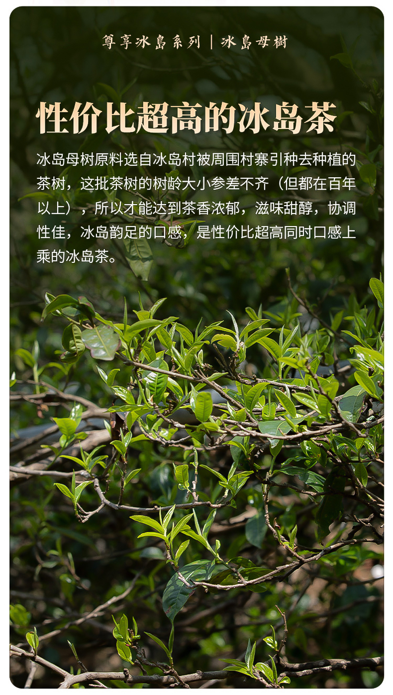 描述3.jpg